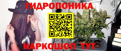 a pvp Комсомольск-на-Амуре