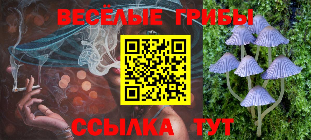 Галлюциногенные грибы прущие грибы Ессентуки